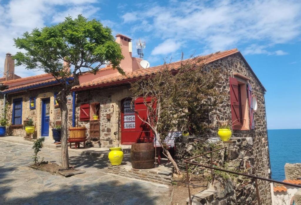 Villa Maison Sur La Roche, Vue Mer Exceptionnelle, Parking Prive, Quartier Historique, Calme Collioure Exterior foto